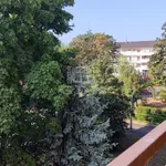 Rent 2 bedroom apartment of 64 m² in Miskolc