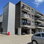 Rent 1 bedroom apartment of 41 m² in Groningen