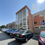 Rent 2 bedroom apartment in Brno