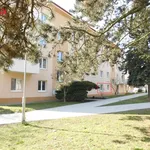 Pronajměte si 3 ložnic/e byt o rozloze 63 m² v znojmo