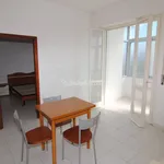 2-room flat via Dante Alighieri 13/C, Stagno, Collesalvetti