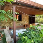 Rent 2 bedroom house of 50 m² in Montecorice