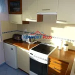 Rent 2 bedroom apartment of 50 m² in Toruń