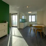 Rent 4 bedroom apartment of 119 m² in Meerrijk