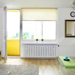 Rent 3 bedroom apartment of 67 m² in Łódź