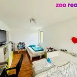 Rent 2 bedroom apartment of 55 m² in České Budějovice