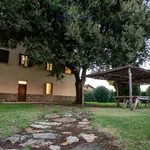 Rent 9 bedroom house of 315 m² in Capalbio