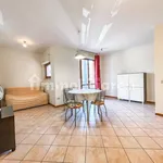 Rent 2 bedroom apartment of 44 m² in Pistoia