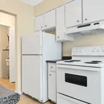  appartement avec 1 chambre(s) en location à Windsor, ON