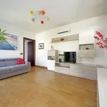 Rent 1 bedroom apartment in rome