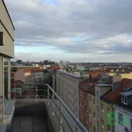 Pronajměte si 3 ložnic/e byt o rozloze 94 m² v Brno