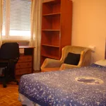 Alquilar 5 dormitorio apartamento en Salamanca