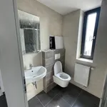 Rent 1 bedroom apartment in Plzeň