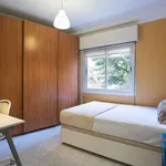 Rent a room of 110 m² in madrid