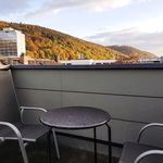 Rent 2 bedroom apartment of 85 m² in Heidelberg