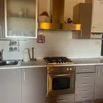 Rent 3 bedroom apartment of 60 m² in Carrara