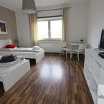 Rent 1 bedroom apartment of 30 m² in Nuremberg