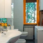 Rent 1 bedroom apartment of 55 m² in milan