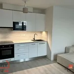 Rent 2 bedroom apartment in Rokycany