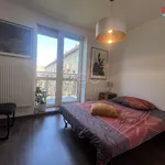 Rent 3 bedroom apartment of 60 m² in Praha