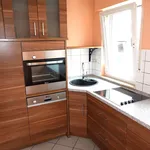 Rent 2 bedroom apartment of 65 m² in Zentrum