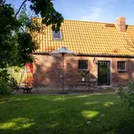 Rent 2 bedroom apartment of 40 m² in Kloster Tempzin