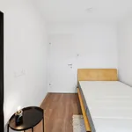 Miete 3 Schlafzimmer wohnung in Graz