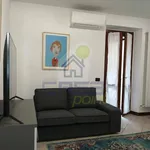 Rent 2 bedroom apartment of 60 m² in Cremona