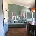 Rent 1 bedroom apartment of 60 m² in Pisa