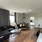 Rent 4 bedroom apartment of 93 m² in De Mheen