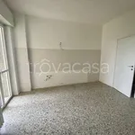 Rent 3 bedroom apartment of 100 m² in Pavia