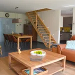 Rent 4 bedroom house of 518 m² in Gullegem