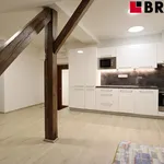 Rent 1 bedroom apartment of 50 m² in Brno