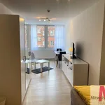 Rent 1 bedroom apartment of 26 m² in Nuremberg