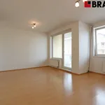 Rent 1 bedroom apartment of 47 m² in Brno