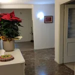 Rent 1 bedroom apartment of 200 m² in ponte san nicolo