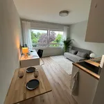 Rent 1 bedroom apartment of 25 m² in Dortmund