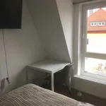 Miete 6 Schlafzimmer wohnung von 10 m² in Frankfurt