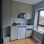 Rent 1 bedroom apartment of 35 m² in Dublin