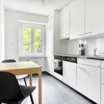 Rent 2 bedroom apartment of 50 m² in Basel