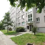 Rent 1 bedroom apartment of 36 m² in Dresden