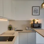 Rent 1 bedroom apartment of 24 m² in Prague