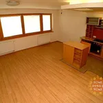 Rent 4 bedroom apartment of 122 m² in Prague