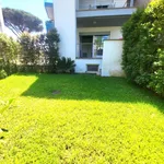 Rent 2 bedroom apartment of 45 m² in Roma