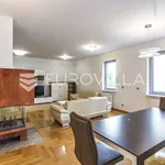 Rent 4 bedroom apartment of 155 m² in Zagreb