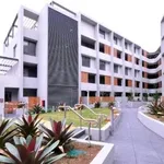 Rent 1 bedroom apartment in Pyrmont