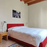 Rent 1 bedroom apartment in milan