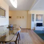 Rent 3 bedroom apartment in madrid