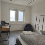 Rent 2 bedroom apartment of 80 m² in Karlsruhe