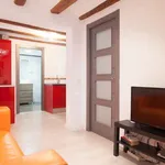 Rent 3 bedroom apartment of 75 m² in barcelona